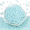 Baking Paint Glass Seed Beads SEED-L011-09A-08-2