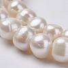 Natural Cultured Freshwater Pearl Beads Strands PEAR-D187-15-3