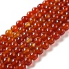 Natural Carnelian Beads Strands G-G390-8mm-03-2