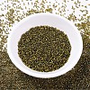 MIYUKI Delica Beads SEED-J020-DB0604-2