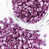 FGB Plated Glass Seed Beads SEED-S020-03E-15-1