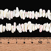 Natural Trochid Shell/Trochus Shell Beads Strands SSHEL-T017-29-4