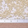 MIYUKI Delica Beads X-SEED-J020-DB0204-4