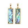 Rack Plating Natural Paua Shell Pendants KK-E059-14G-1