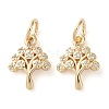 Rack Plating Brass Micro Pave Clear Cubic Zirconia Charms X-KK-D097-05G-1