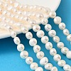 Natural Cultured Freshwater Pearl Beads Strands PEAR-P064-19J-06D-1