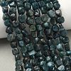 Natural Apatite Beads Strands G-R445-8x10-24A-1
