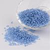 Round 12/0 Glass Seed Beads X-SEED-A006-2mm-106-1