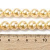 Electroplated Shell Pearl Beads Strands BSHE-G041-10mm-01-4