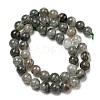 Natural Lodolite Quartz Beads Strands G-R494-A15-03-2