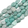 Natural Amazonite Beads Strands G-P606-A01-01-2