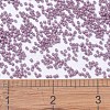 MIYUKI Delica Beads X-SEED-J020-DB0800-4