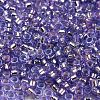 Glass Seed Beads X1-SEED-S042-04A-08-3