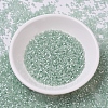 MIYUKI Delica Beads SEED-JP0008-DB0829-2