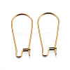 304 Stainless Steel Hoop Earring Findings X-STAS-P223-01G-04-1