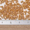 MIYUKI Delica Beads X-SEED-J020-DB1778-4