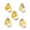 Glass Pendants GLAA-P072-05G-06-1
