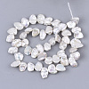 Natural Baroque Pearl Keshi Pearl Beads Strands PEAR-Q015-013-2
