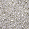 MIYUKI Round Rocailles Beads X-SEED-G007-RR1901-3