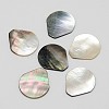 Teardrop Black Lip Shell Cabochons SSHEL-M008-02-1