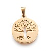 304 Stainless Steel Pendants STAS-P234-37G-2