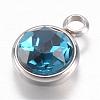 304 Stainless Steel Glass Rhinestone Charms STAS-G082-04-2