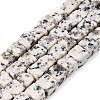 Natural White Sesame Jasper Beads Strands G-T139-6x6-33A-4