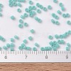 MIYUKI Delica Beads SEED-J020-DB1136-3