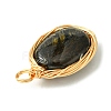 5Pcs 5 Styles Natural Mixed Stone Copper Wire Wrapped Pendants PALLOY-JF02501-4