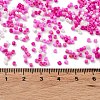 Baking Paint Glass Seed Beads X-SEED-S042-05B-47-4