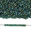 TOHO 11/0 Round Beads X-SEED-TR11-0179F-4