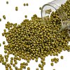 TOHO 11/0 Round Beads X-SEED-TR11-2630F-1