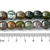 Natural Indian Agate Beads Strands G-H023-A06-01-5