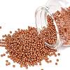 MIYUKI Round Rocailles Beads X-SEED-G007-RR4207-1