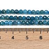 Natural Apatite Beads Strands X-G-E411-36-3mm-01-5