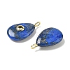 Natural Gemstone Pendants G-H318-04G-3