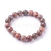 Natural Leopard Skin Jasper Beads Stretch Bracelets BJEW-F380-01-B12-2