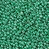 TOHO Round Seed Beads SEED-JPTR11-0561-2