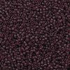 TOHO 11/0 Round Beads X-SEED-TR11-0006BF-2