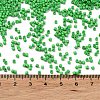 Baking Paint Glass Seed Beads SEED-S042-05B-56-4