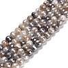 Electroplated Natural Botswana Agate Round Beads Strands G-L598-A03-01-2