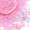 Baking Paint Glass Seed Beads SEED-L011-09A-27-1
