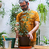 Iron Plant Trellis for Climbing Plants AJEW-DR0001-98EB-5