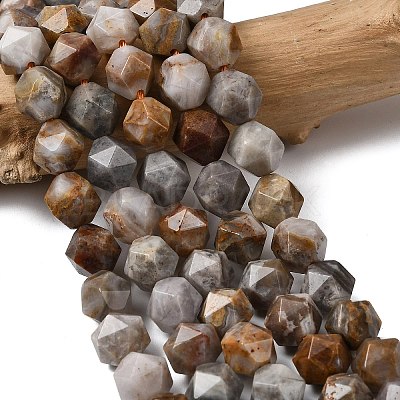 Natural Gobi Agate Beads Strands G-Z119-A36-03-1