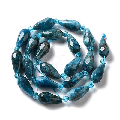 Natural Apatite Beads Strands G-B028-A09-1