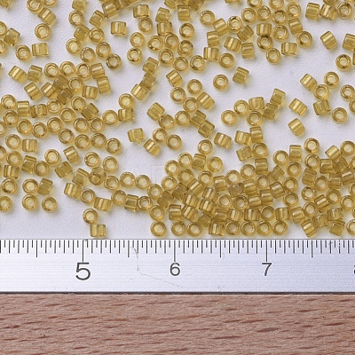 MIYUKI Delica Beads Small SEED-X0054-DBS0118-1