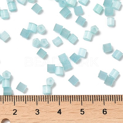 Glass Seed Beads X1-SEED-H002-D-A812-1