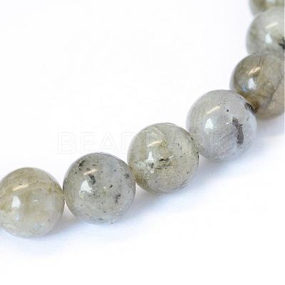 Natural Labradorite Round Bead Strands G-E334-8mm-19-1