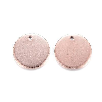 304 Stainless Steel Charms STAS-G122-23-1