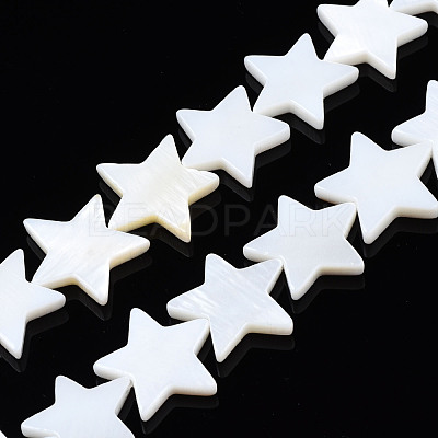 Natural Freshwater Shell Beads Strands SHEL-S278-01D-01-1